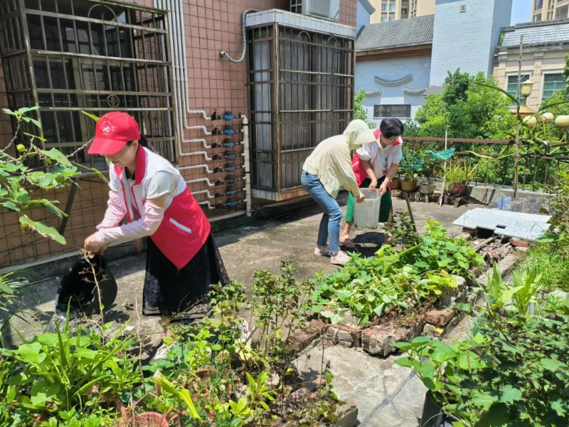 干部和群眾合理開展家園清潔行動3.jpg